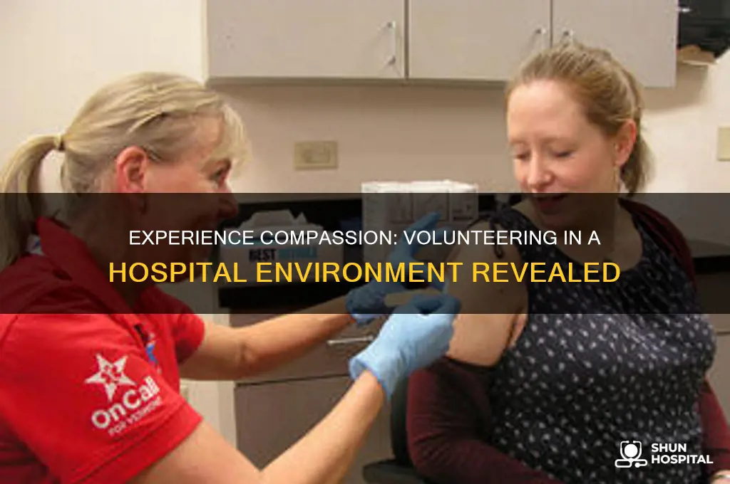 what volunteering in a hospital environment would be like