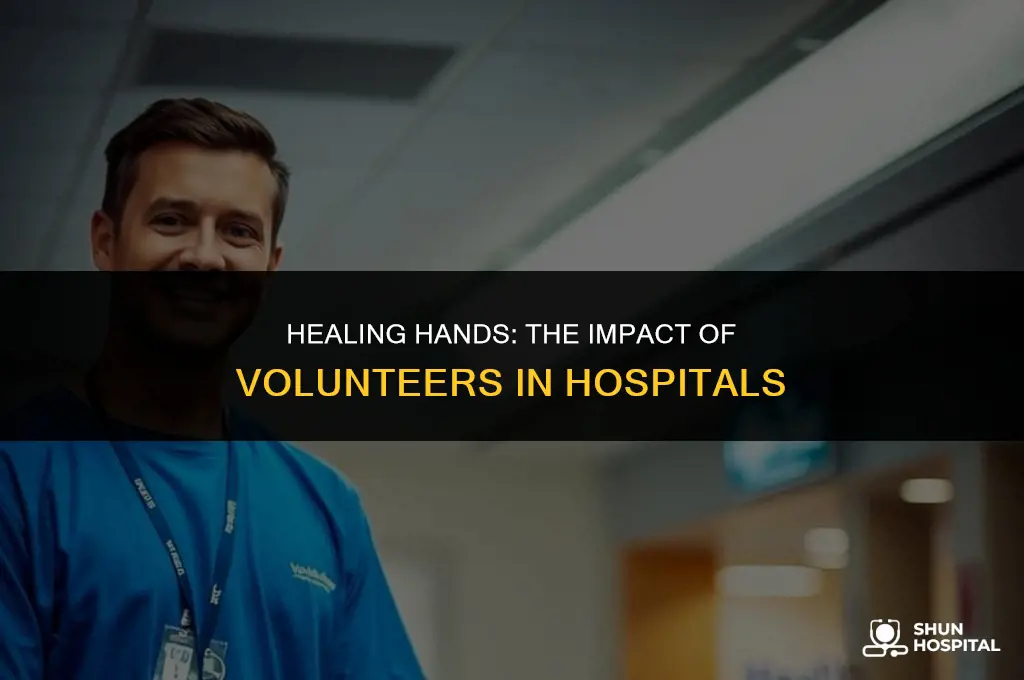 what volunteers do at hospitals