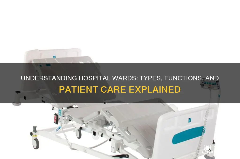 what wards are there in a hospital