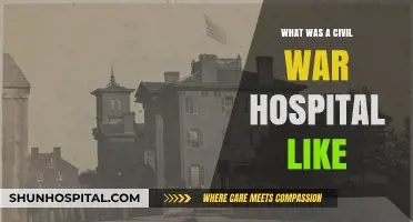 Inside Civil War Hospitals: Conditions, Care, and Human Resilience