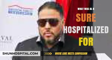 Al B. Sure's Health Scare: What Led to His Hospitalization?