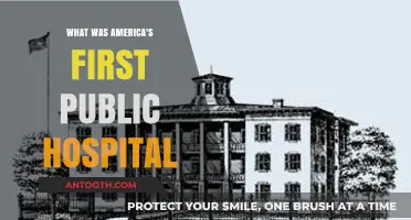 America's First Public Hospital: A Historic Healthcare Milestone