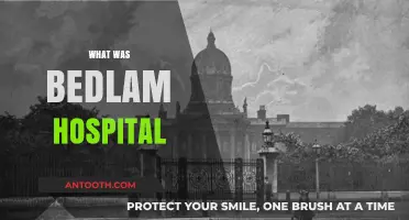 Unraveling the Mysteries of Bedlam Hospital: A Historical Deep Dive