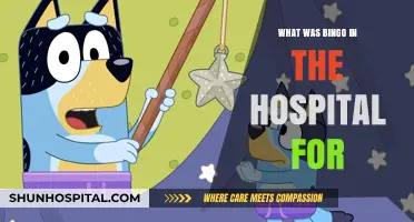 Bingo's Hospital Stay: Uncovering the Reason Behind the Visit