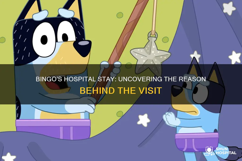 what was bingo in the hospital for