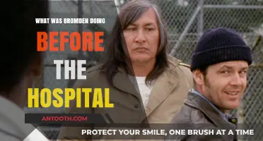 Bromden's Pre-Hospital Life: Unraveling His Mysterious Past and Activities