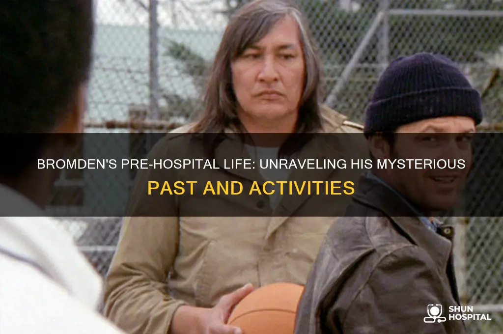 what was bromden doing before the hospital