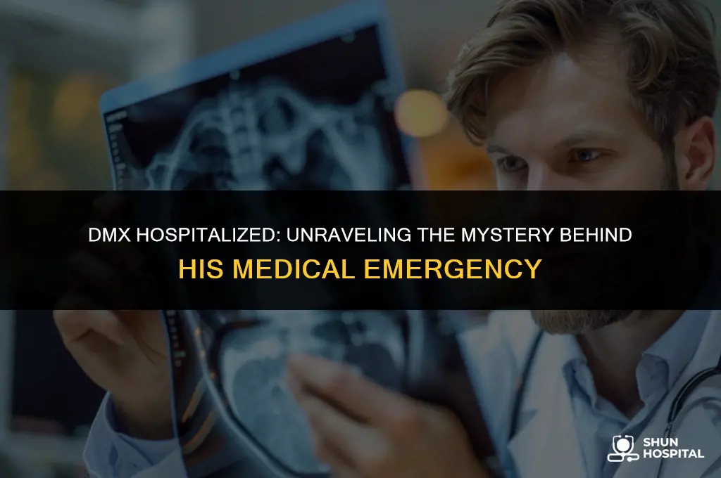 what was dmx hospitalized for