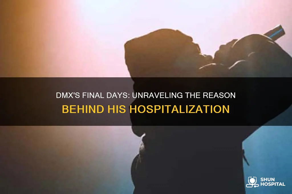 what was dmx in the hospital for
