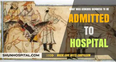 Genghis Khan's Mysterious Illness: Unraveling His Hospitalization Cause