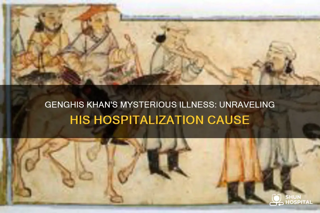 what was genghis sickness to be admitted to hospital