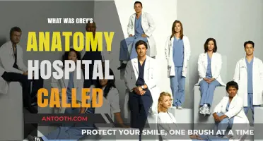 Unveiling the Name: Grey's Anatomy's Iconic Hospital Revealed