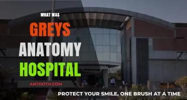 Unveiling the Real-Life Inspiration Behind Grey's Anatomy Hospital