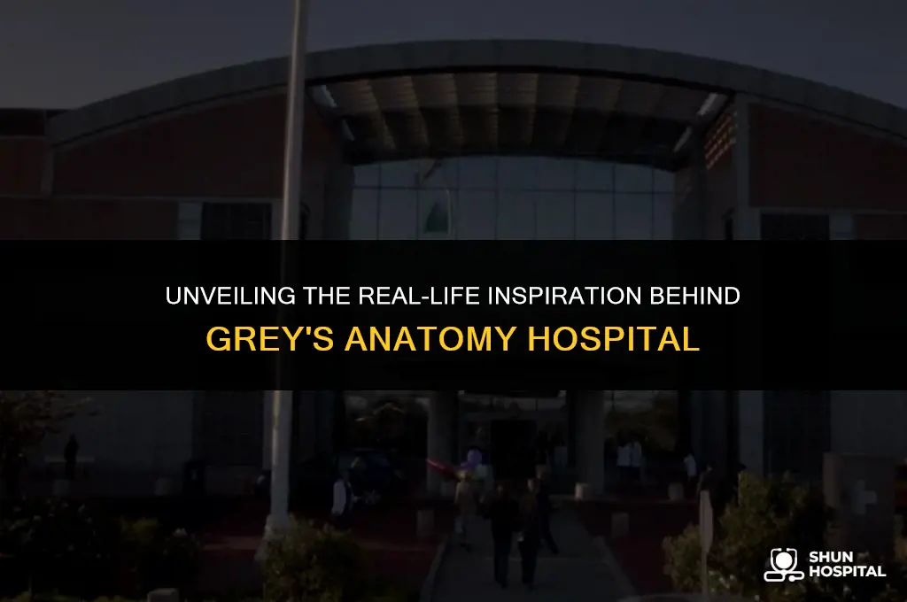 what was greys anatomy hospital
