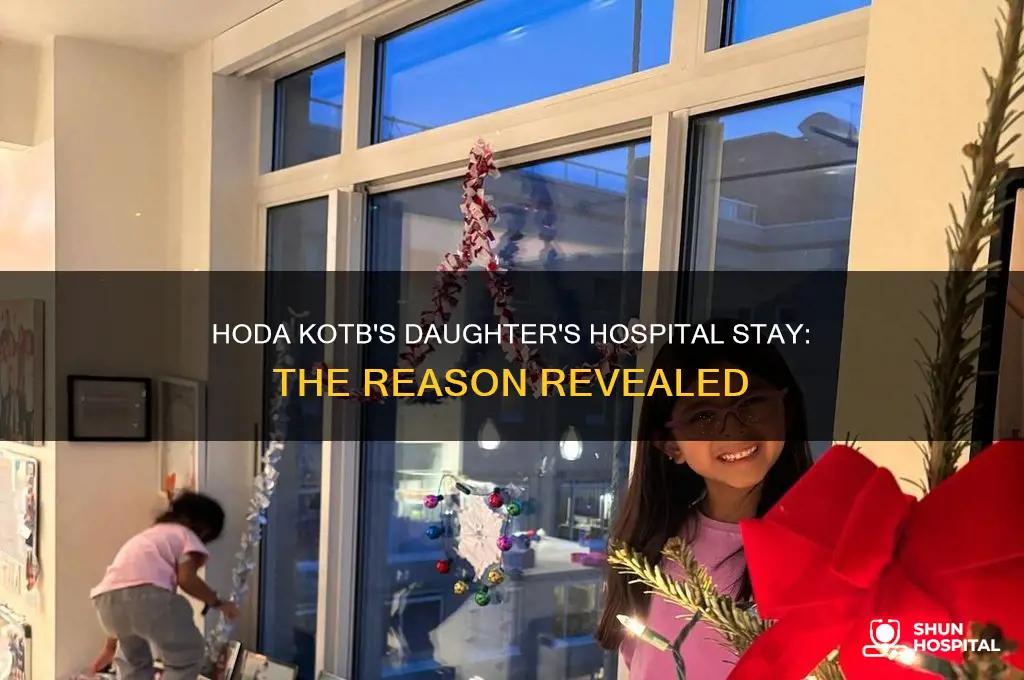 what was hoda kotb