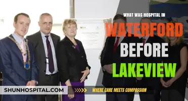Waterford's Lakeview Hospital: Uncovering Its Historic Predecessor and Legacy