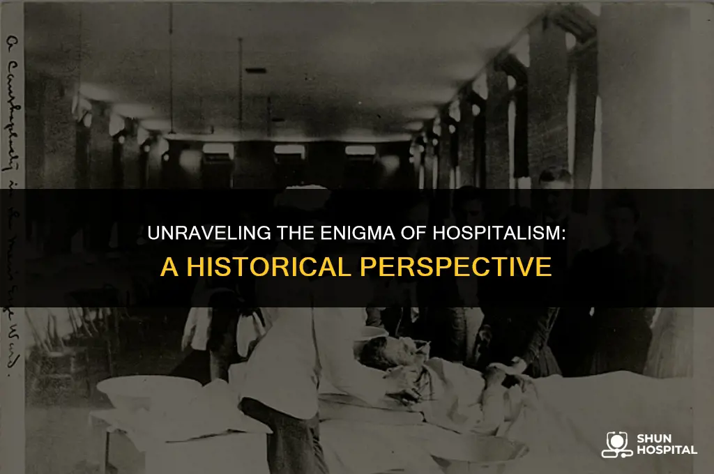 what was hospitalism