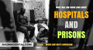 Jim Crow's Legacy: Racial Segregation in Healthcare and Incarceration