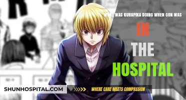 Kurapika's Mission: Uncovering His Actions During Gon's Hospital Stay
