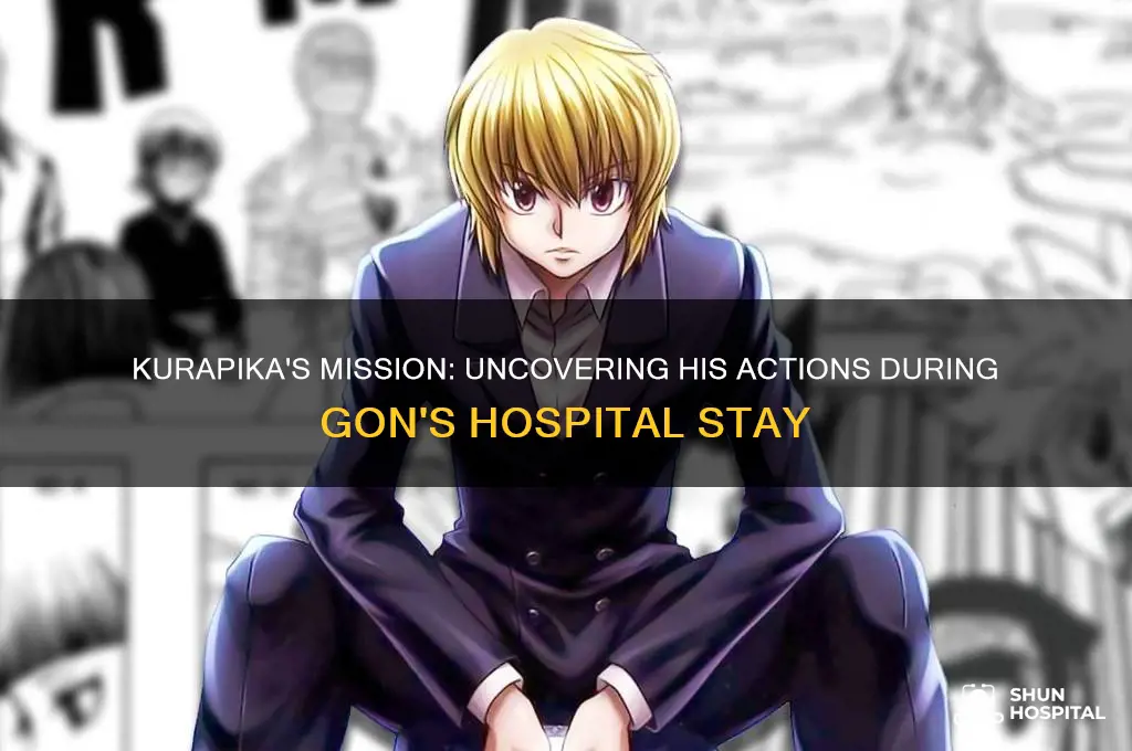 what was kurapika doing when gon was in the hospital