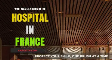 Lily's Mystery: Uncovering Her Hospital Stay in France
