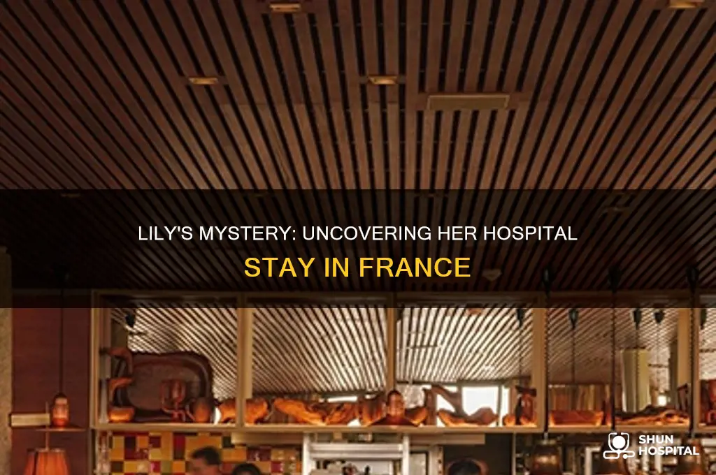 what was lily doing in the hospital in france