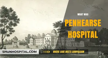 Unveiling the History and Legacy of Penhearse Hospital