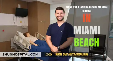 Unveiling Miami Beach's History: What Stood Before Mount Sinai Hospital?