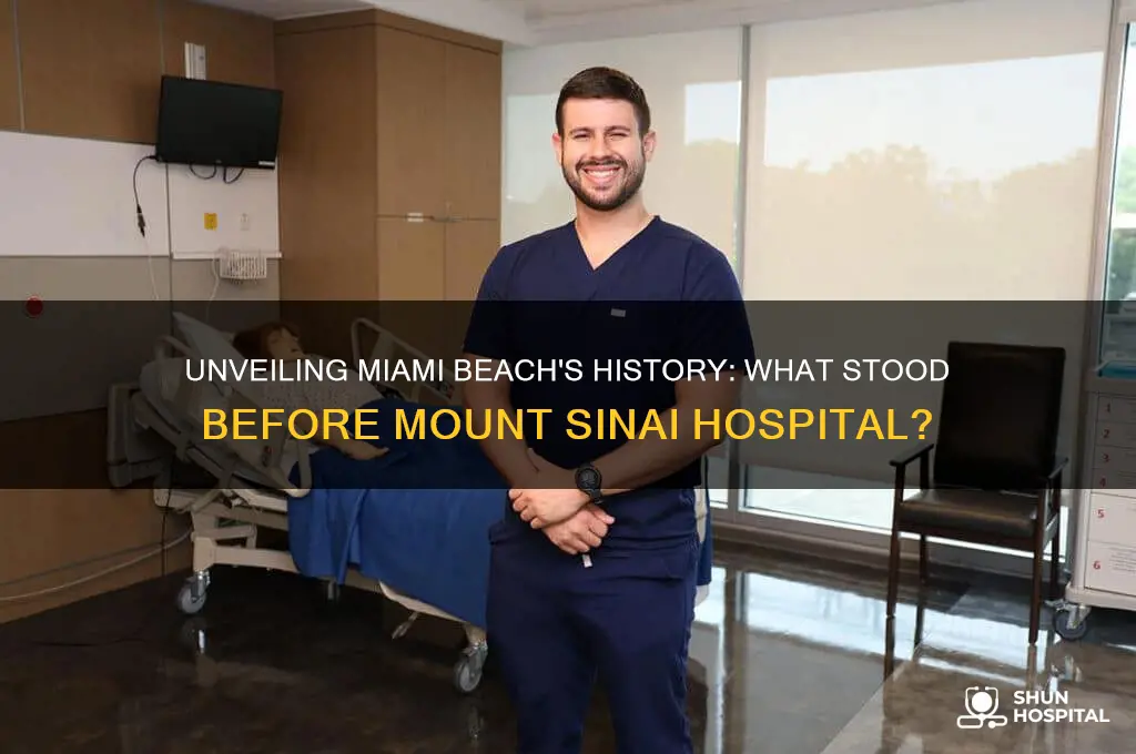 what was standing before mt sinai hospital in miami beach