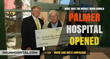 Arnold Palmer Hospital's Opening Budget: A Historical Financial Overview
