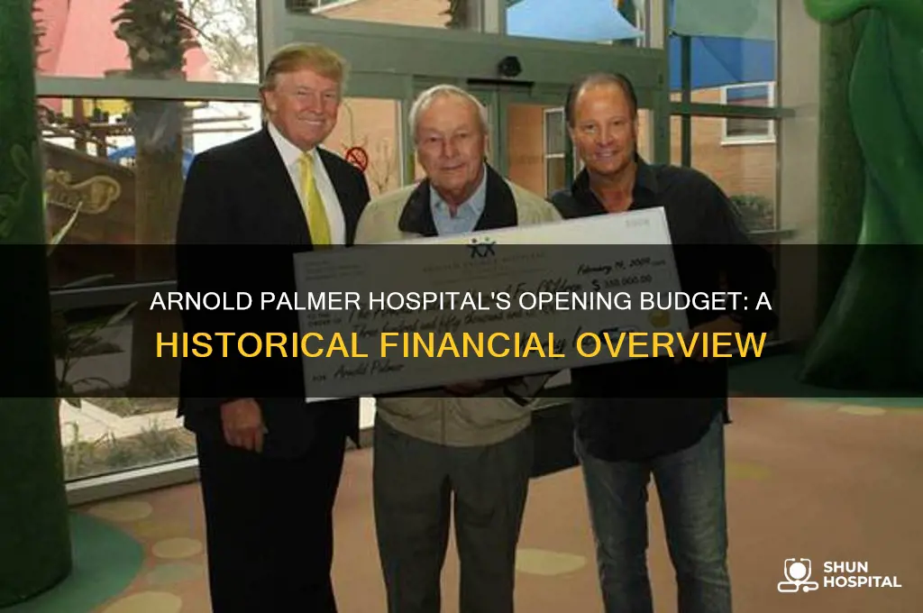 what was the budget when arnold palmer hospital opened