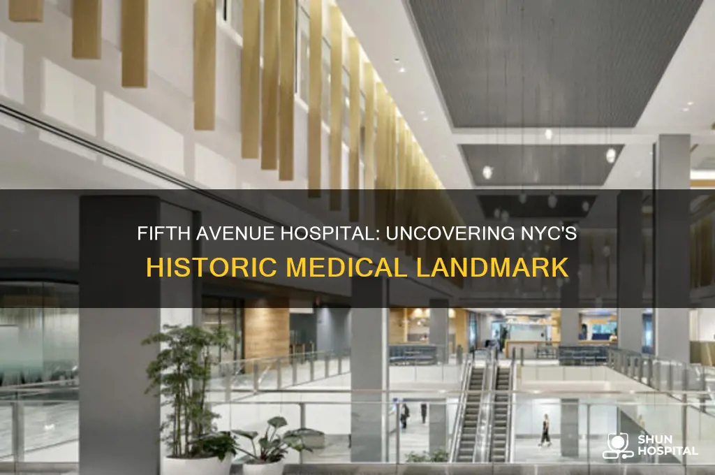 what was the fifth avenue hospital in new york city
