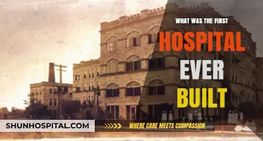 Unveiling the Origins: The World's First Hospital in History