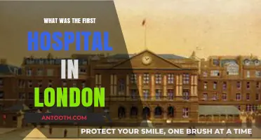 The Origins of London's First Hospital: A Historical Journey