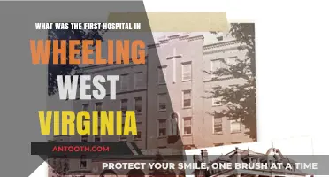 The Origins of Wheeling's First Hospital: A Historical Journey