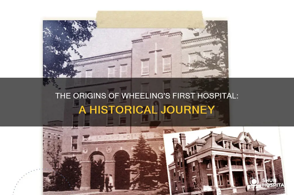 what was the first hospital in wheeling west virginia