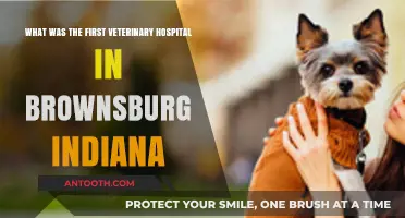 Brownsburg's First Veterinary Hospital: A Historical Overview of Its Origins