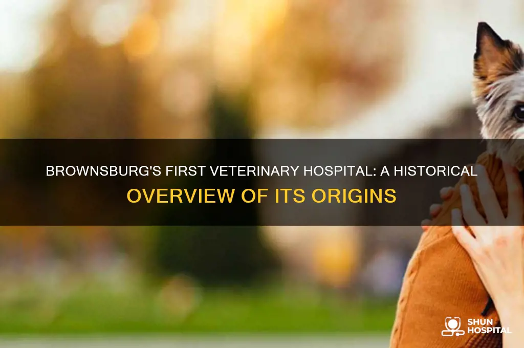 what was the first veterinary hospital in brownsburg indiana