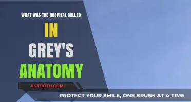 Unveiling Grey's Anatomy's Iconic Hospital: Seattle Grace's Legacy Explored