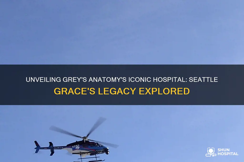 what was the hospital called in grey