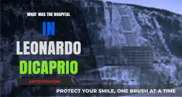 Leonardo DiCaprio's Hospital Scene: Unraveling the Movie Mystery