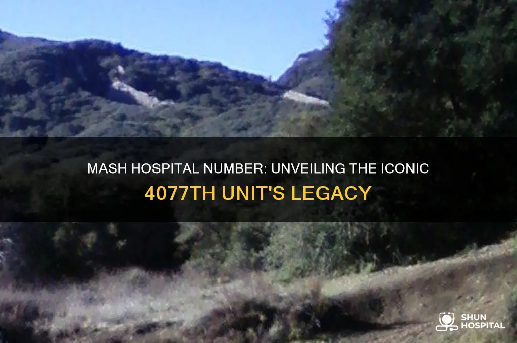 what was the hospital number in mash