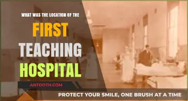 The Birthplace of Medical Education: Where Was the First Teaching Hospital?