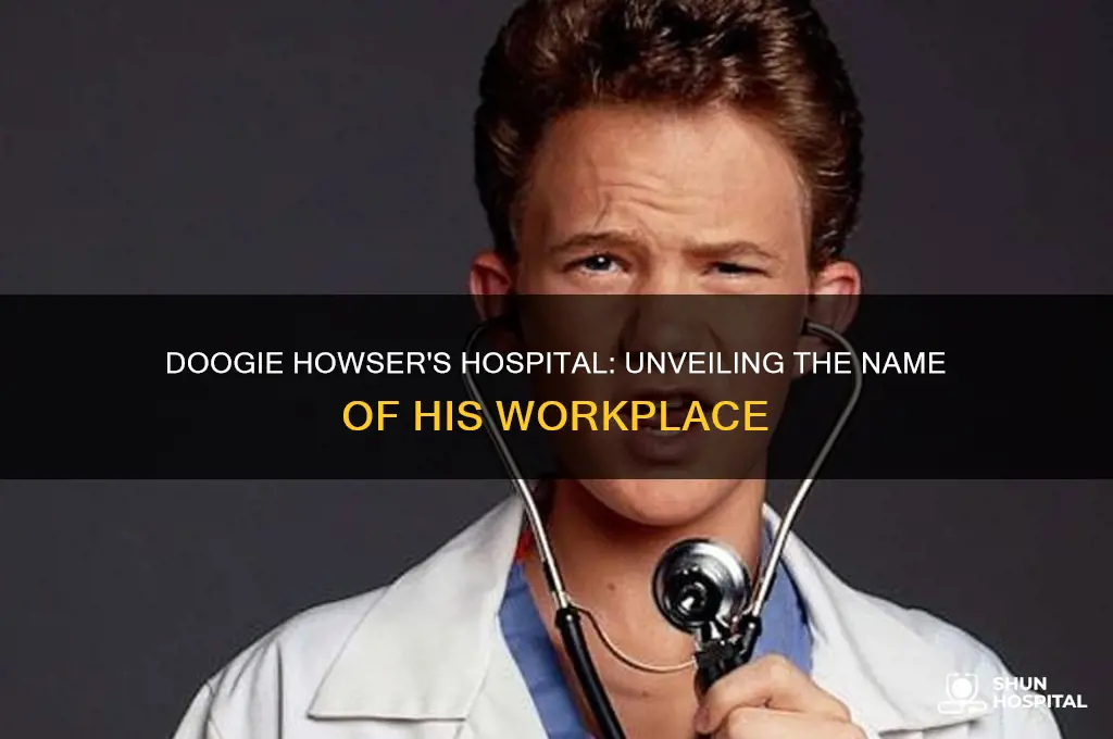 what was the name of doogie howser