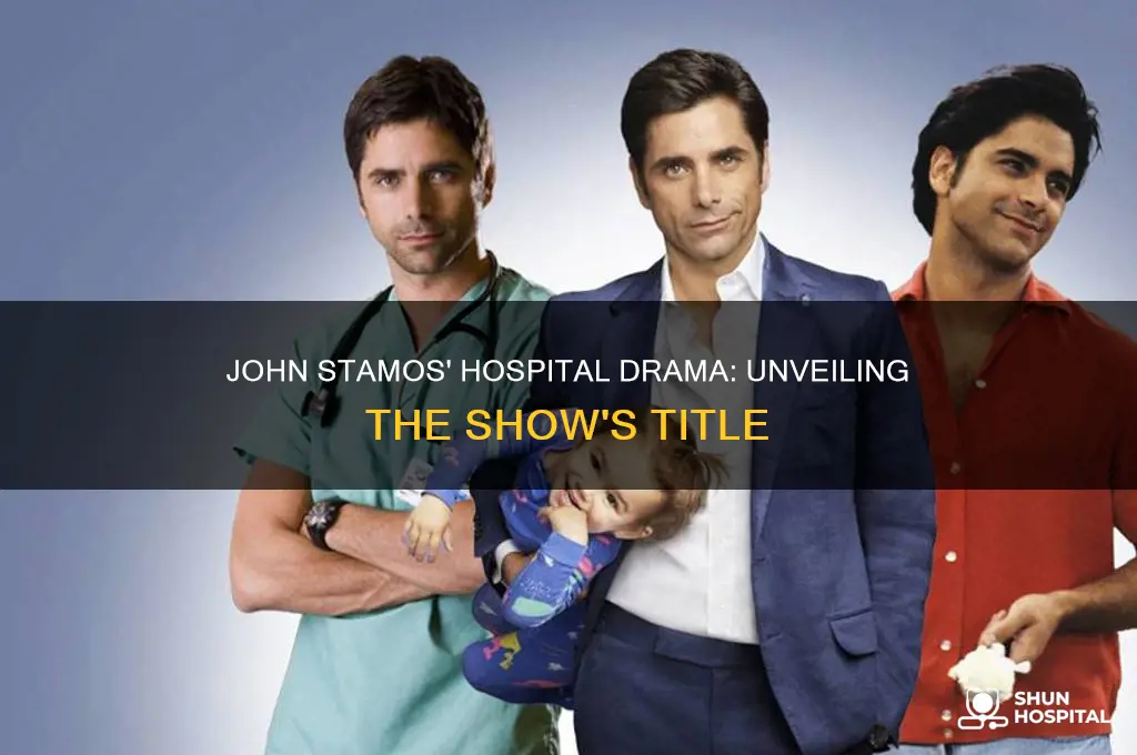what was the name of john stamos hospital show