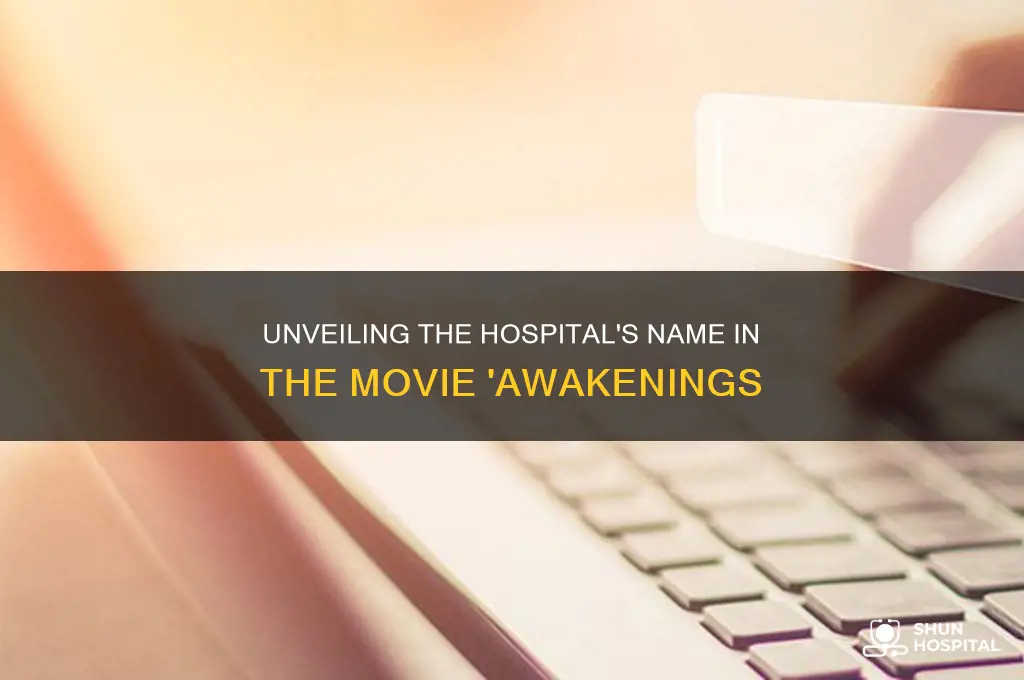 what was the name of the hospital in awakenings