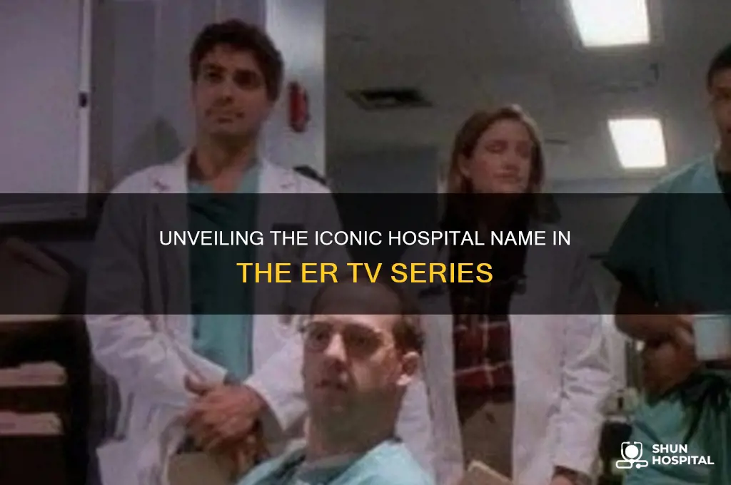 what was the name of the hospital in er