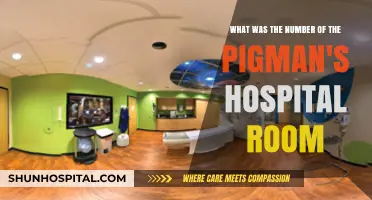 Unveiling the Mystery: The Pigman's Hospital Room Number Revealed