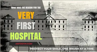 The Origins of Healthcare: Why the First Hospital Was Established