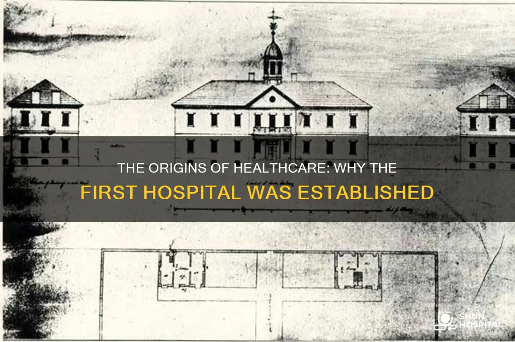 what was the reason for the very first hospital